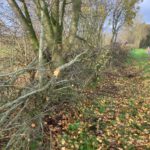 Werk in progressie in Keent