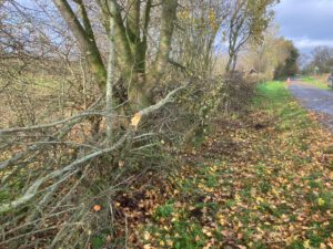 Werk in progressie in Keent